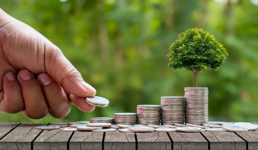 Sustainability Image